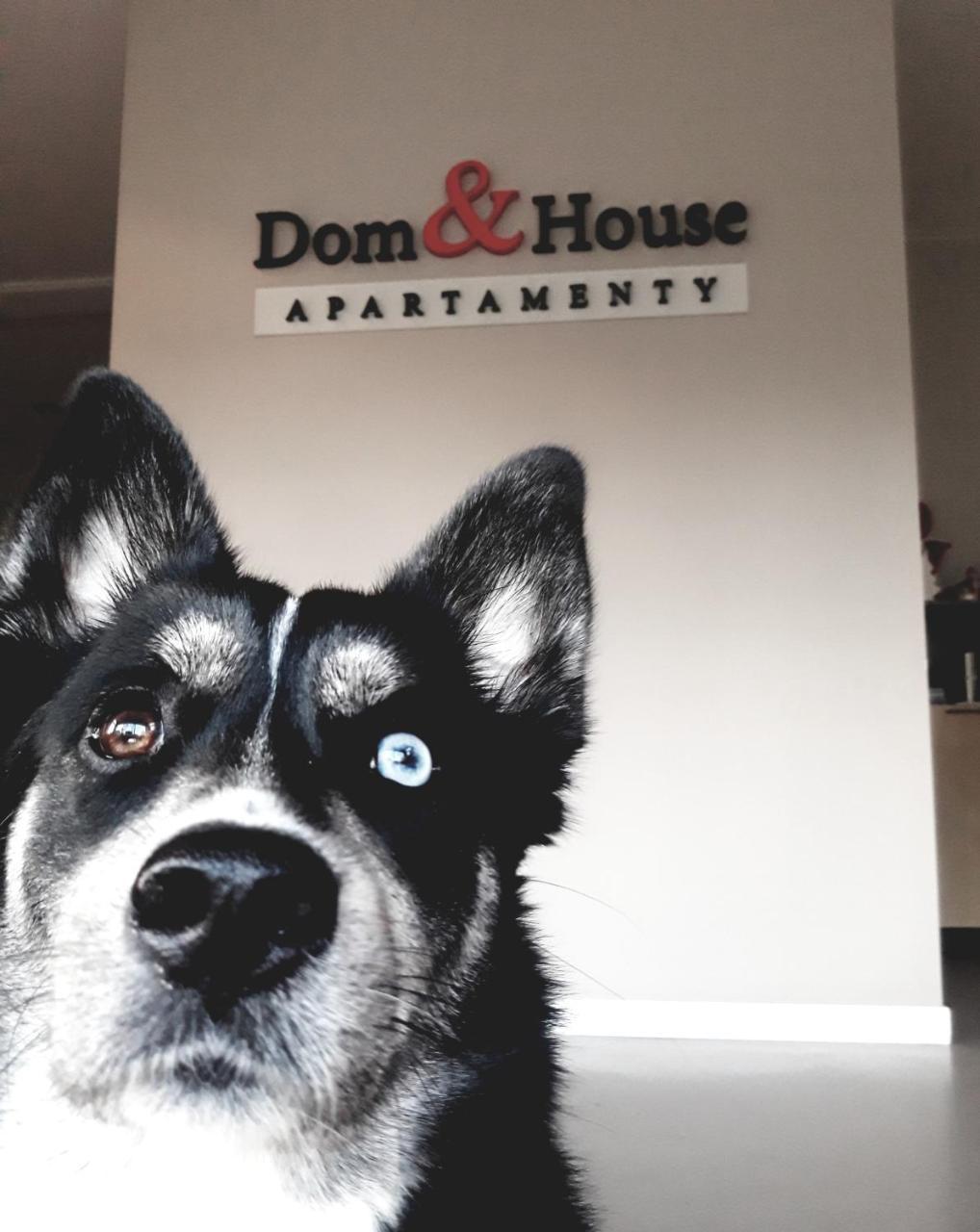 Dom & House - Apartments Waterlane Island กดัญสก์ ภายนอก รูปภาพ